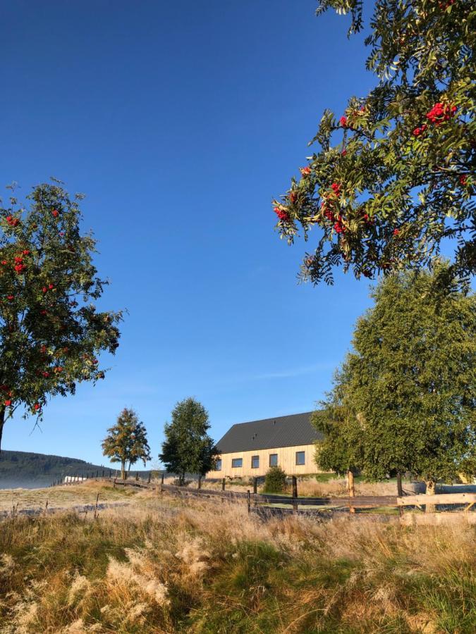 Wzgorze Owiec Sheep Hill Mostowice Exterior foto